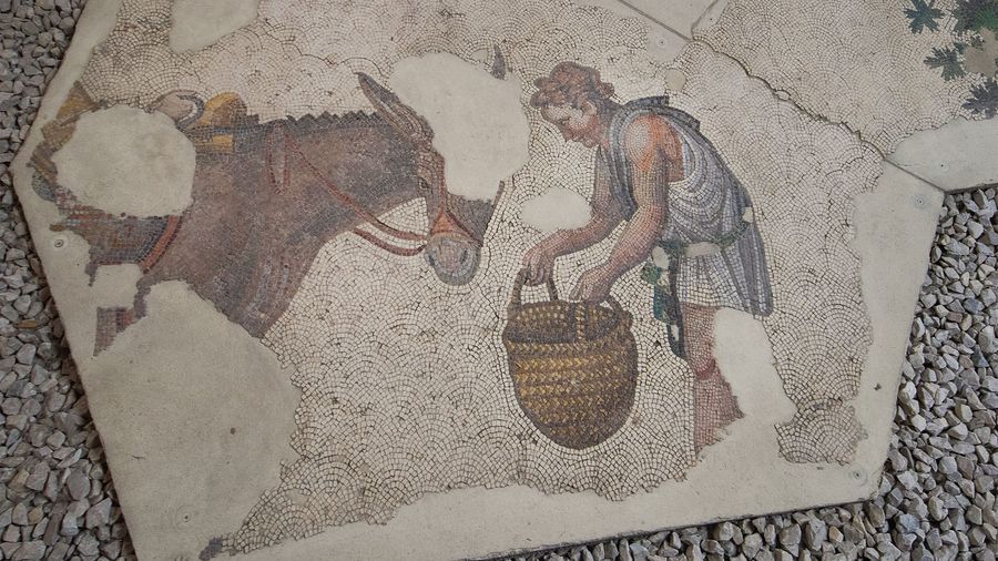 Mosaic Museum of the Grand Palace