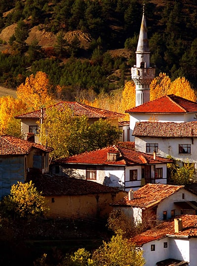 Taraklı